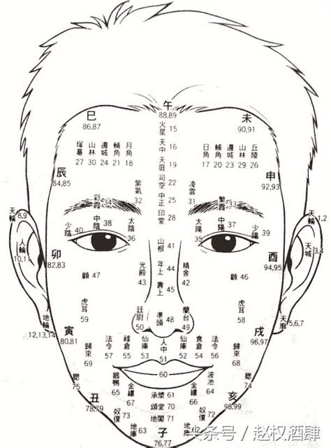 面相 年齡